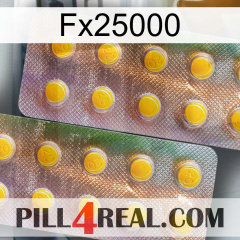 Fx25000 new10